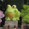 Frogs & Turtles (By the Each)